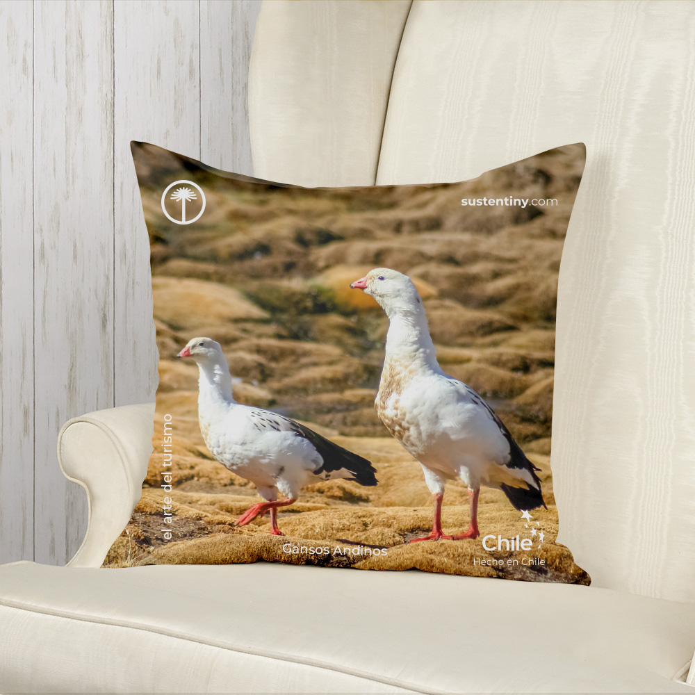 Cojín Gansos Andinos Packaging Estuche